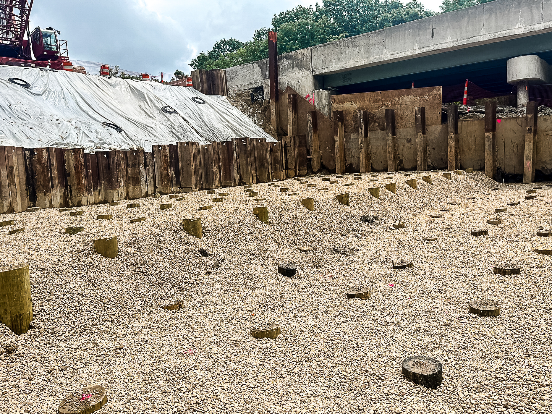 Timber piles installed as rigid inclusions for ground improvement in soft soil conditions.
